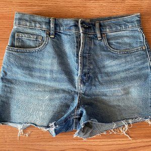Everlane Blue Shorts Size 27